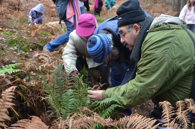2011 12 A la découverte des lichens 12
